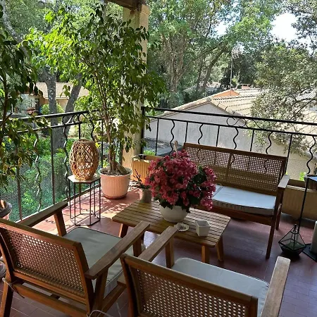With Large Spacious Apartment, Privatized With Big Garden And Swimming Pool Villa Beaulieu (Herault)